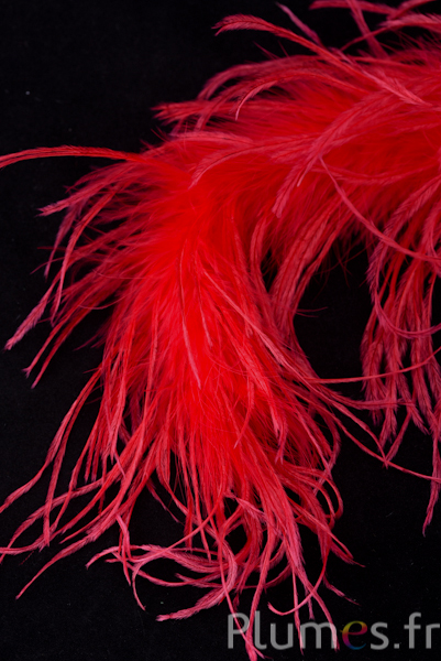 Autruche mèche fine  - 10 cm - rouge